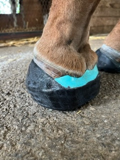 OrthoHoof Equine quarter crack hoof cast repair tape |2 INCH - 1 ROLL| - OrthoTape.com
