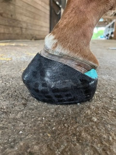 OrthoHoof Equine quarter crack hoof cast repair tape |2 INCH - 1 ROLL| - OrthoTape.com