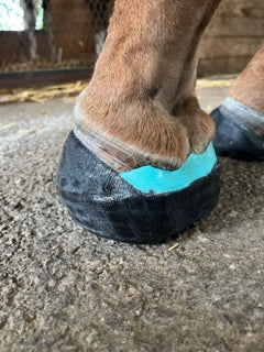 ORTHOHOOF Equine quarter crack hoof cast repair tape |2 INCH - 10 ROLL BOX|